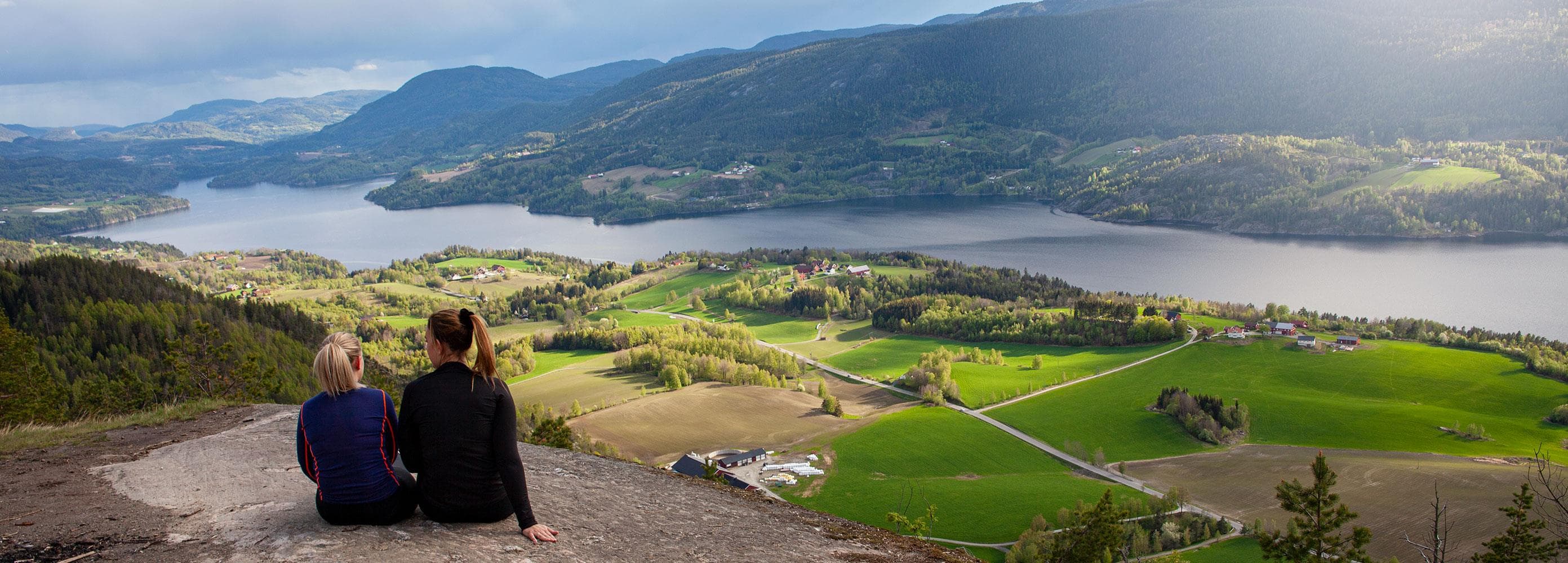 Hero image