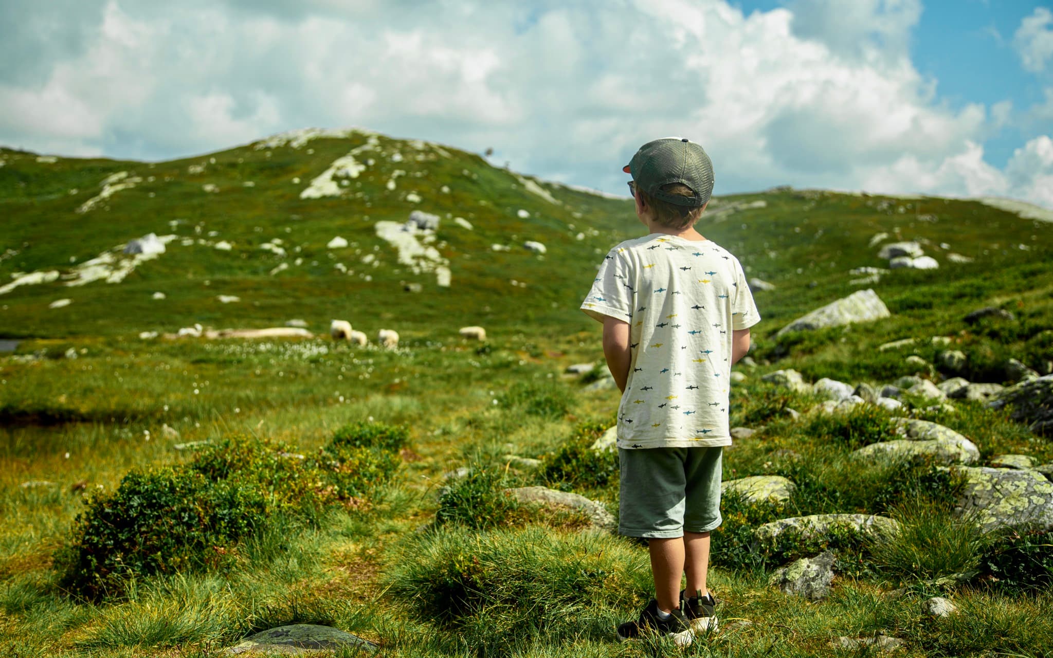 Telemark's Most Beautiful Hikes