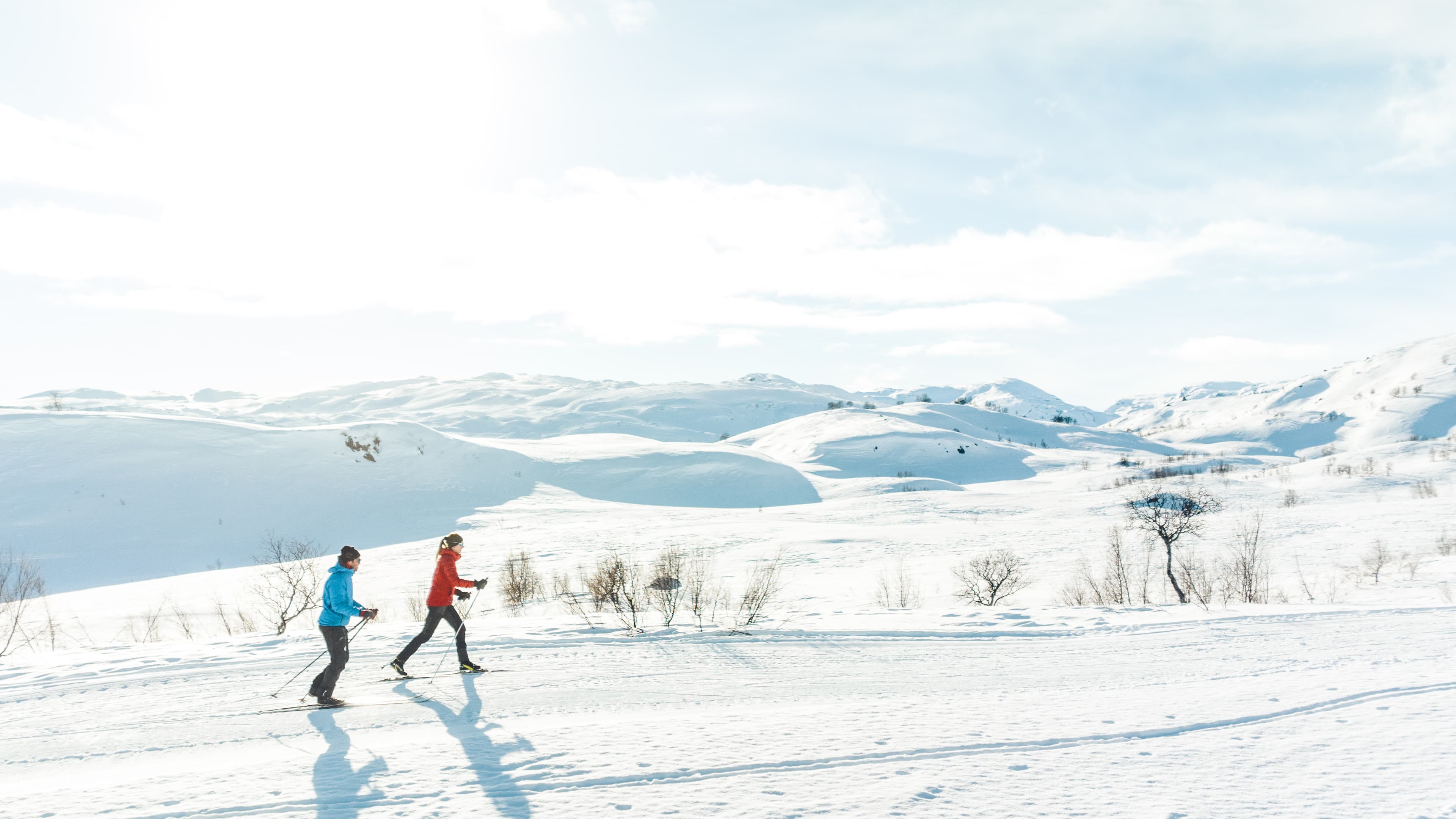Go cross-country skiing