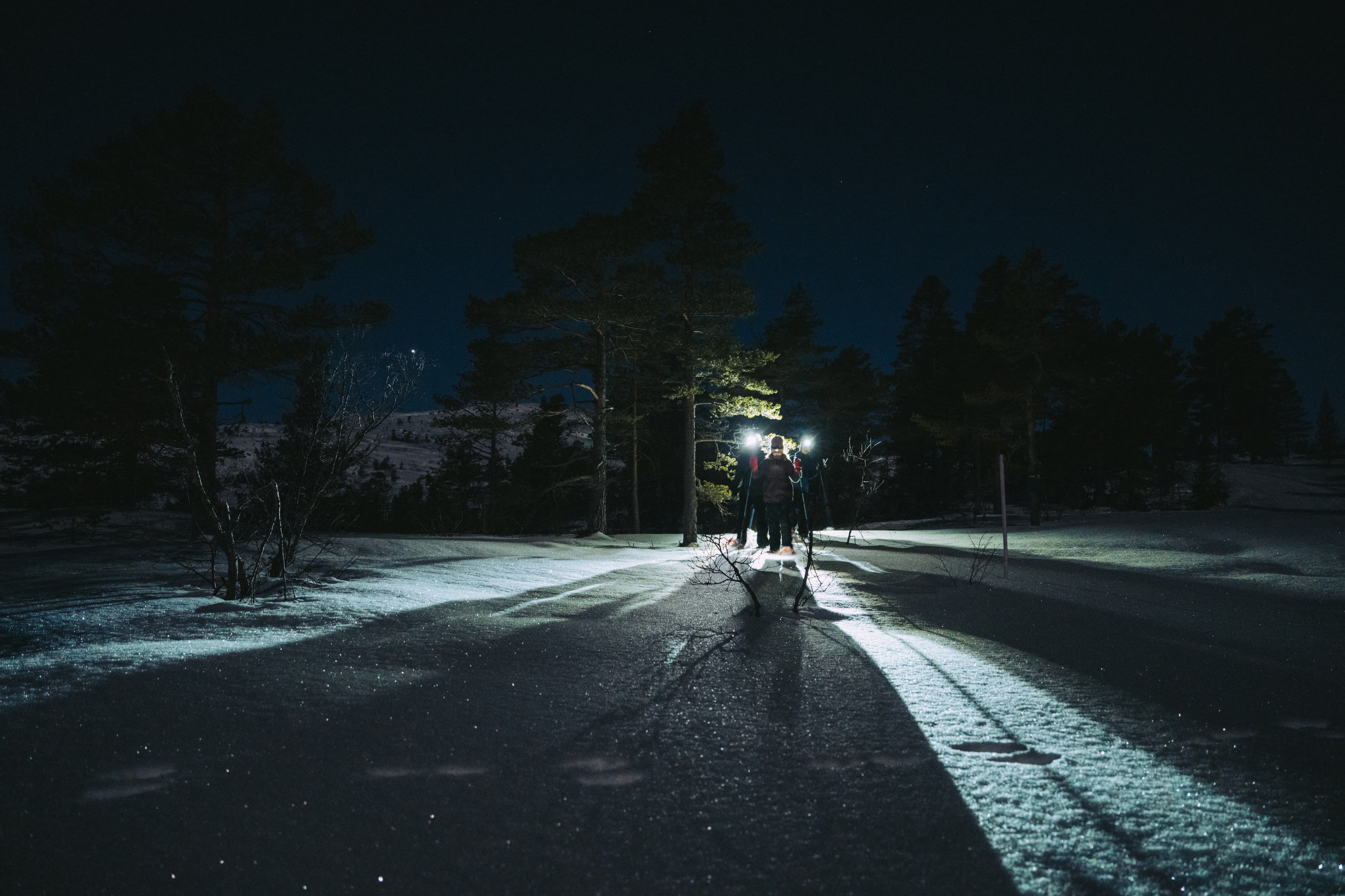 Stargazing with snowshoes in Vrådal
