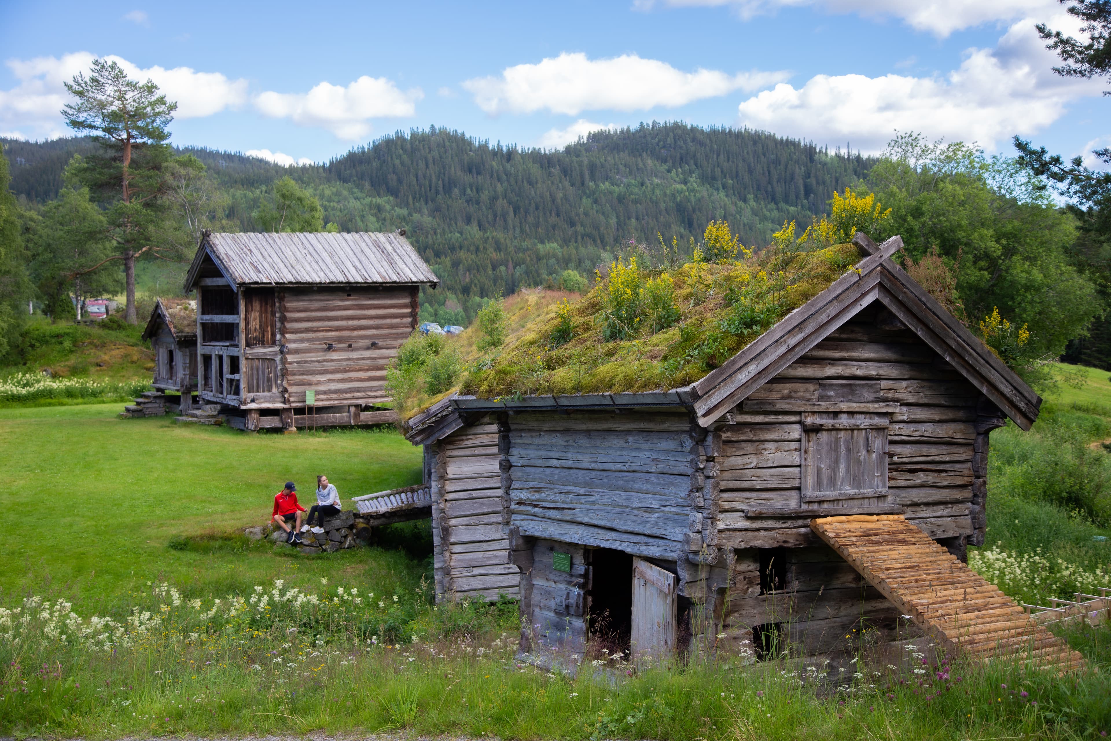 Entrance Ticket – Vest-Telemark Museum with Eidsborg Stave Church