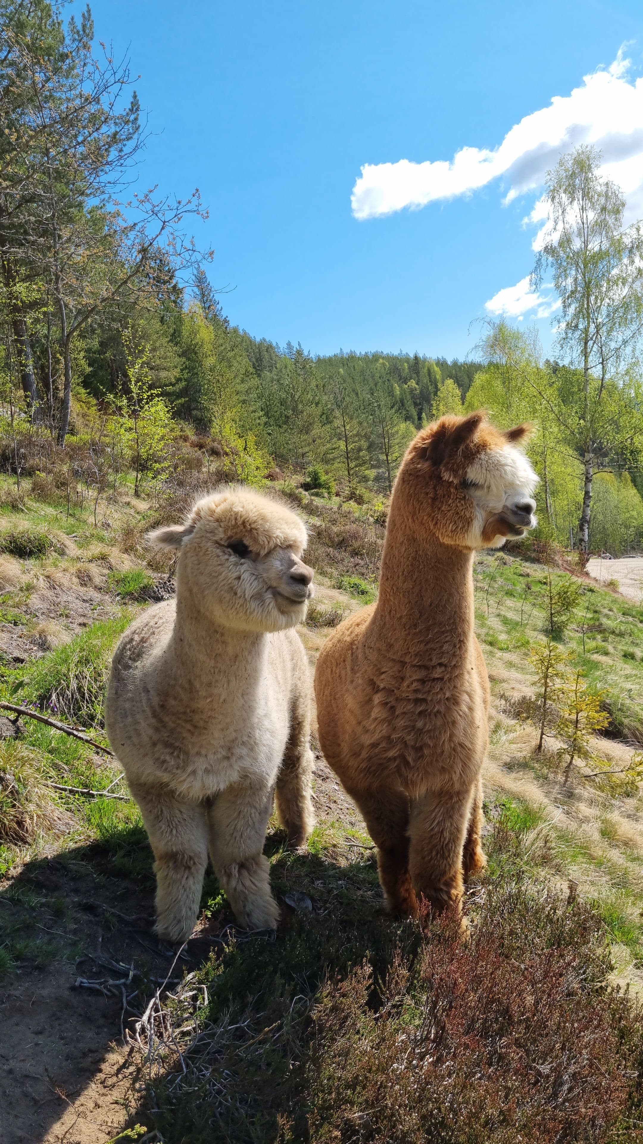 Farm Visit